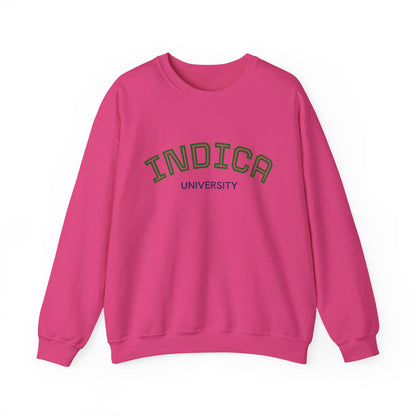 Indica University Sweatshirt