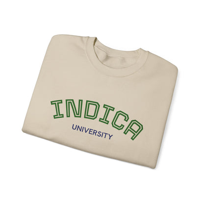 Indica University Sweatshirt
