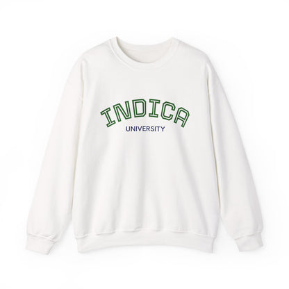 Indica University Sweatshirt