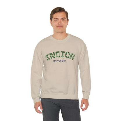 Indica University Sweatshirt