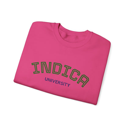 Indica University Sweatshirt