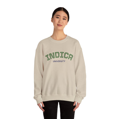 Indica University Sweatshirt