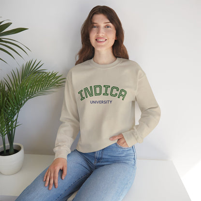 Indica University Sweatshirt